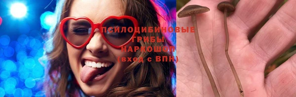 бошки Богородицк
