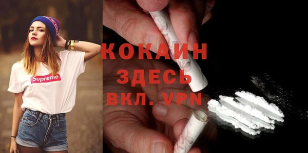 соль ск Богданович