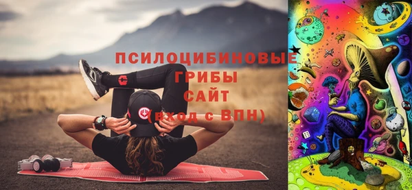 бошки Богородицк